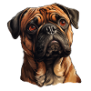 Mops Porträt