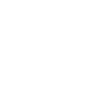 Limited edition 2004