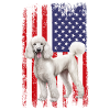 poodle dog