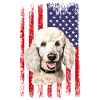 poodle dog
