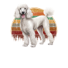 poodle dog