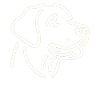 Labrador Retriever Face