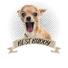 Yawning Chihuahua Funny Chihuahua