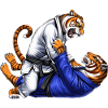 Tigers Jiu Jitsu Wrestling