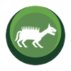 Fabelwesen Märchen Kryptozoologie