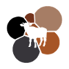 Cows Beef Moo