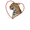 Leopard in the heart