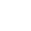 Sport Brother Skiing