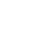 Sport Brother Skiing