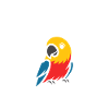 Humour petit perroquet