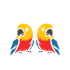 Humour petit perroquet
