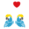 Humour petit perroquet