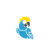 Humour petit perroquet