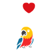 Humour petit perroquet
