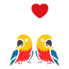 Humour petit perroquet