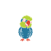 Humour petit perroquet