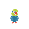 Humour petit perroquet