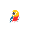 Humour petit perroquet