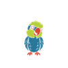 Humour petit perroquet