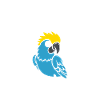 Humour petit perroquet