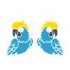 Humour petit perroquet