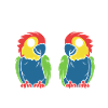 Humour petit perroquet
