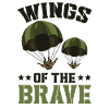 Paratroopers Skydiving Skydiving