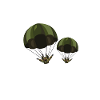Paratroopers Skydiving Skydiving