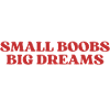 Small Big Dreams Aesthetic Y2K