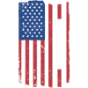 Sport Us Flag Skiing