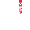 Sport Us Flag Skiing