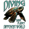 Diving Diver
