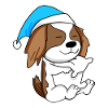 Cavalier King Charles Spaniel Schlafen Müdigkeit
