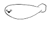 Funny Sacabambaspi Fish Meme