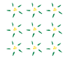 Edelweiss