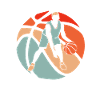 Basketball Basketball Player