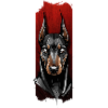 Vigilant Stare: Doberman's Gaze