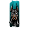 Noble Watch: Majestic Dobermans' Gaze