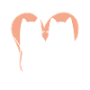 Chats d’amour