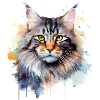 Maincoon aquarelle chat