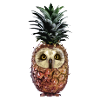 Ananas-Eule