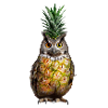 Owl Pineapple