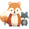 Cute Animal