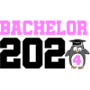 Baccalauréat 2024 Diplôme d’études supérieures