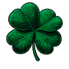 Green four-leaf clover