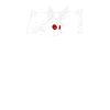 Favorite Sleepshirt