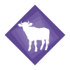 cow, beef, agriculture