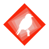 Perruche Oiseau Oiseaux