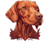 Vizsla Mom