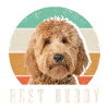 Goldendoodle Hund Dood Gave